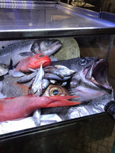 Load image into Gallery viewer, Greek Fish Leather Necklace