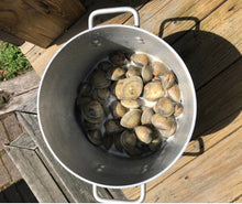 Load image into Gallery viewer, Clam Necklace/Earrings Set- Rhode Island