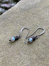 Load image into Gallery viewer, Shell Necklace and Earrings Set - Connecticut