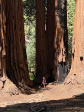 Load image into Gallery viewer, Tree of Life Wrap Bracelet - Sequoia