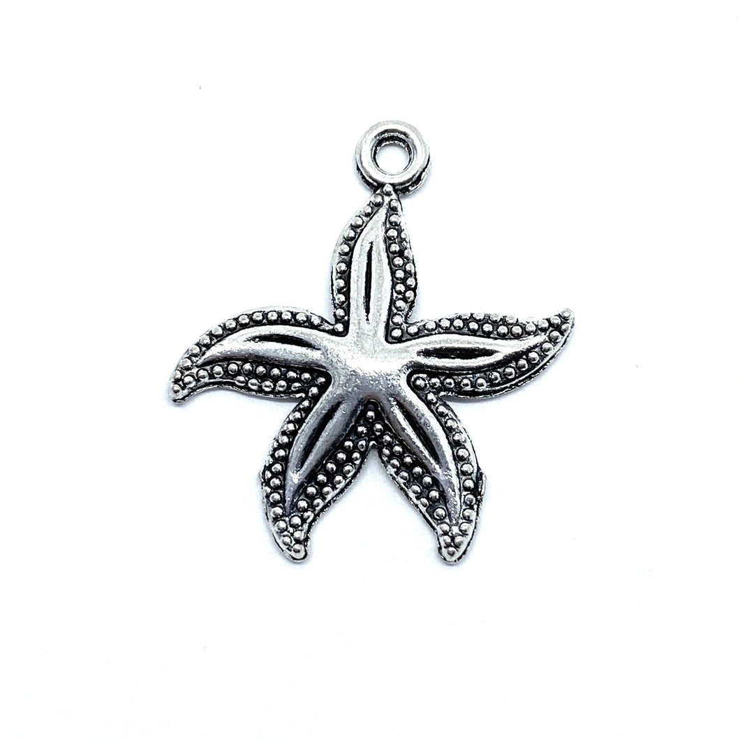 Large Silver Starfish