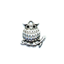 Load image into Gallery viewer, Small Silver Owl on Branch
