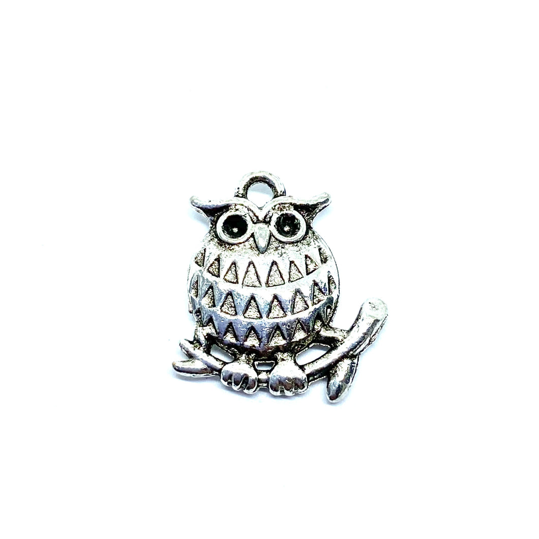 Small Silver Owl on Branch