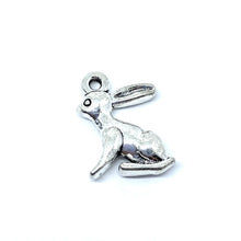 Load image into Gallery viewer, Small Silver Bunny
